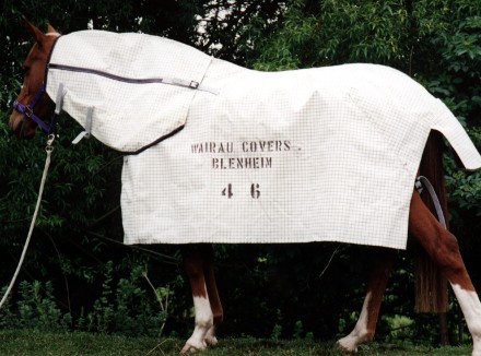 Web_White_Brumby_Cover_And_Curved_Neck_Cover.jpg